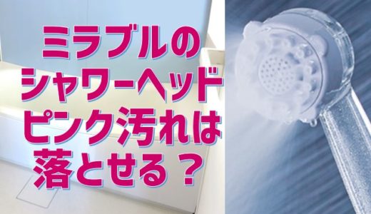 ミラブルシャワーヘッドでピンク汚れのカビは発生しない？効果的な風呂掃除の方法！